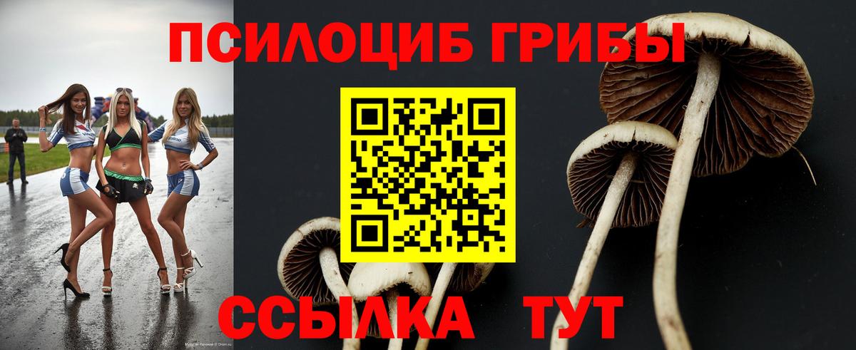 Галлюциногенные грибы мицелий  Вход с VPN  Галлюциногенные грибы прущие грибы  продажа наркотиков  Джанкой 